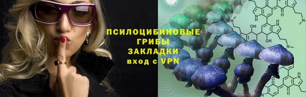 дурь Новодвинск