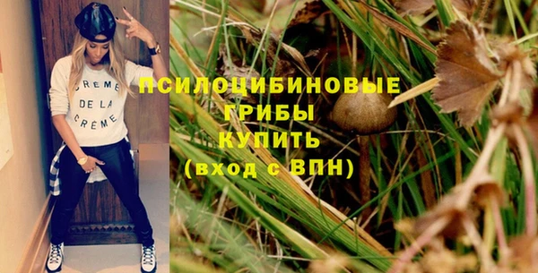 не бодяженный Няндома
