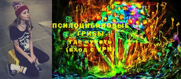 не бодяженный Няндома