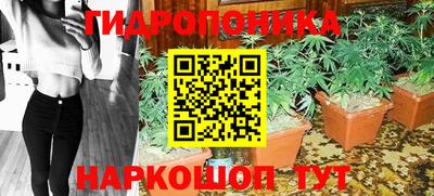 сатива Апшеронск