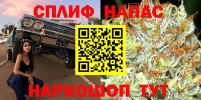 сатива Апшеронск