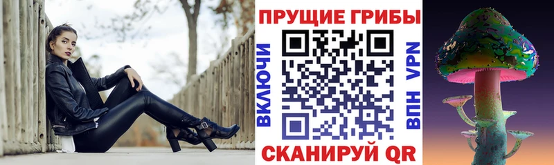 где купить наркоту  Борзя  Галлюциногенные грибы Magic Shrooms 