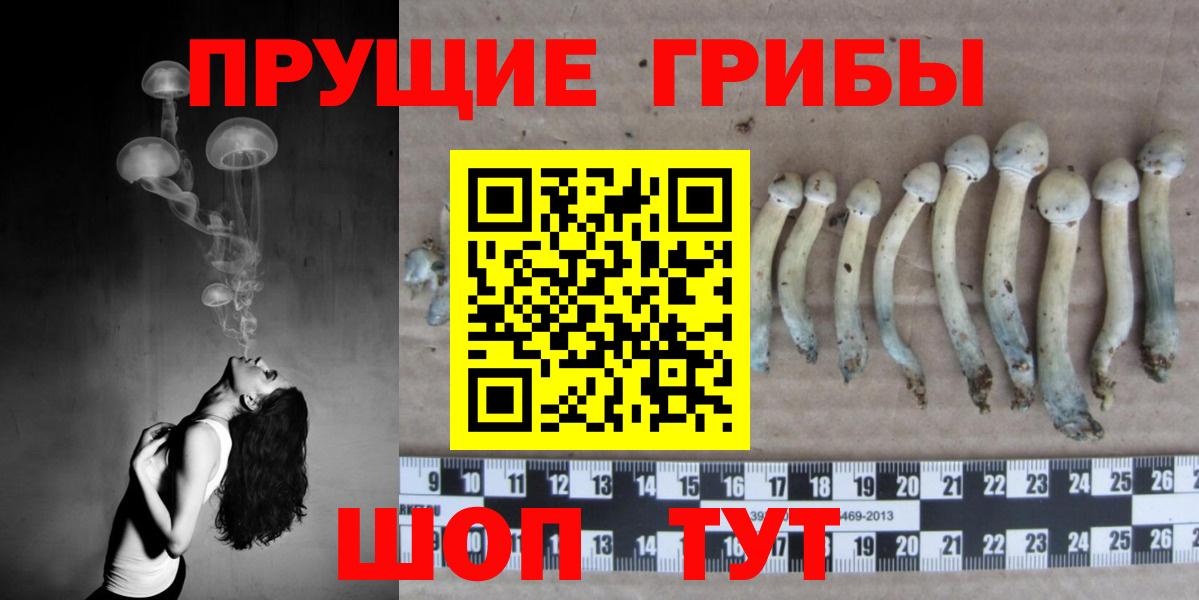 наркотики  Галлюциногенные грибы GOLDEN TEACHER  Вход с VPN  Псилоцибиновые грибы мухоморы  Борзя 